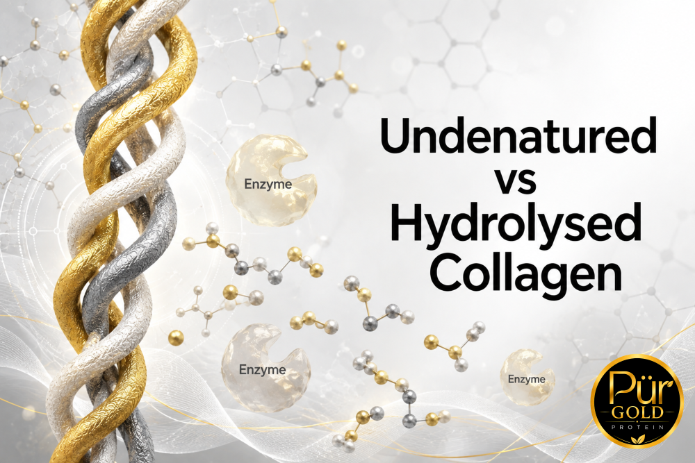 Undenatured vs Hydrolysed Collagen
