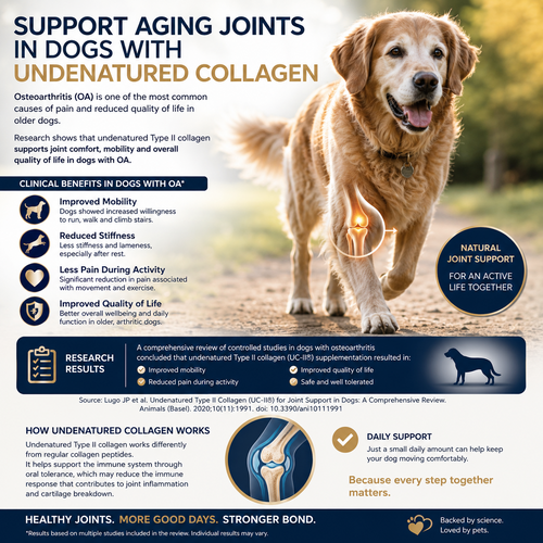 350g PürPet Undenatured Collagen for Dogs